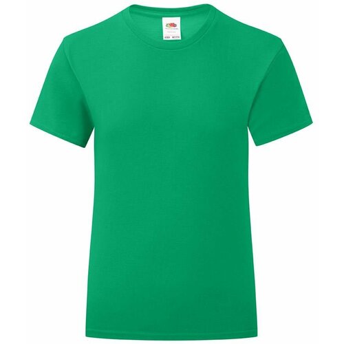 Fruit Of The Loom Iconic Girls' Green T-shirt Cene