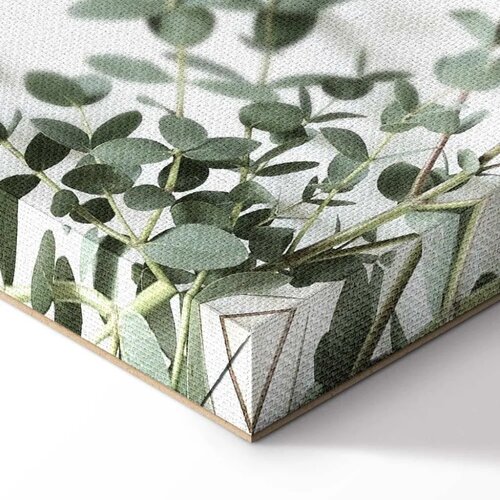  Slika - Eucalyptus Parvifolia (1 Part) Vertical 20x30 Slike