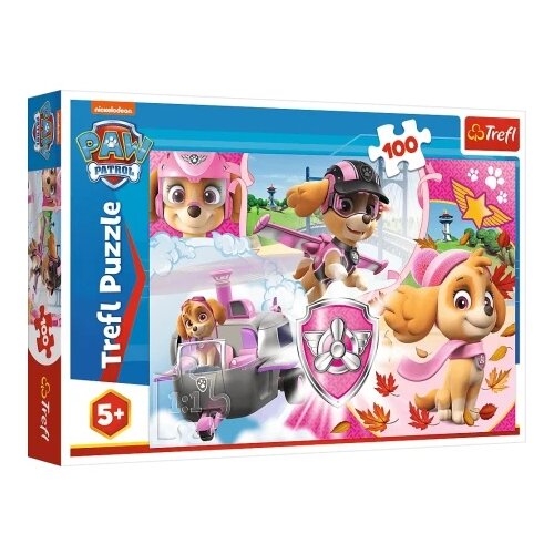 TREF LINE puzzle 100 skye in action ( T16368 ) Cene