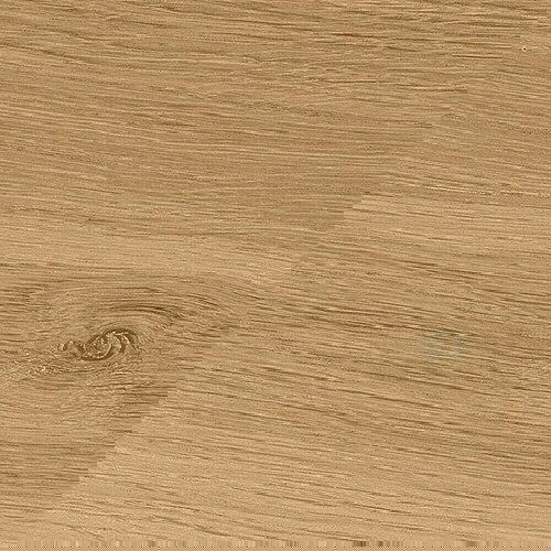 Cersanit Podna pločica Ashville (D x &amp;Scaron; x D: 29,7 cm x 59,8 mm x 8 mm, Smeđe, Mat) Slike