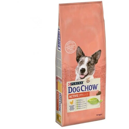 Purina Adult Active pi&scaron;čanec 14 kg Cene