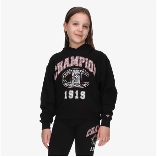 Champion Hooded sweatshirt Cene