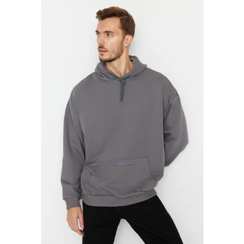 Trendyol Sweatshirt - Gray - Oversize