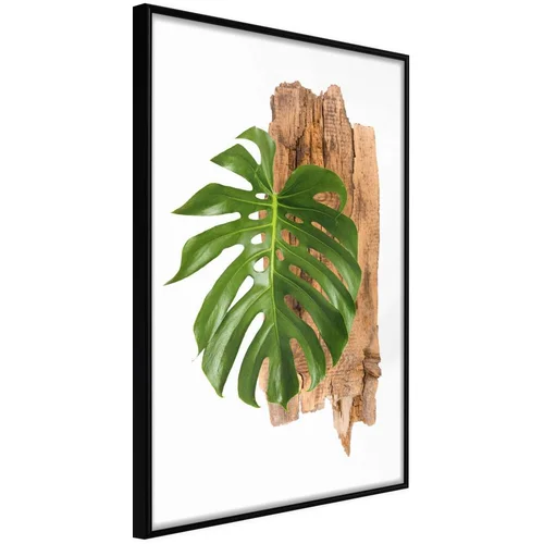  Poster - Leafy Etude 40x60