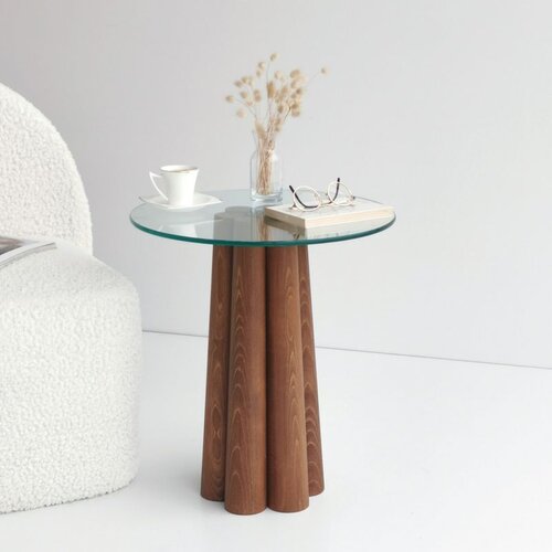 Hanah home Pianeta Walnut Coffee Table Cene
