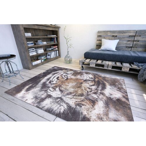 Conceptum Hypnose tepih Opus -AL 321, 75x230 cm, &scaron;areni Cijene