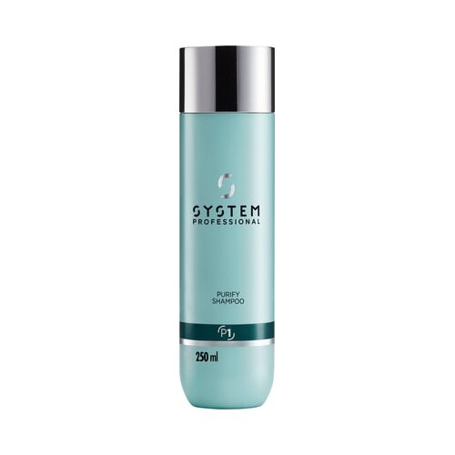 System Professional LipidCode &scaron;ampon purify (P1) Cene