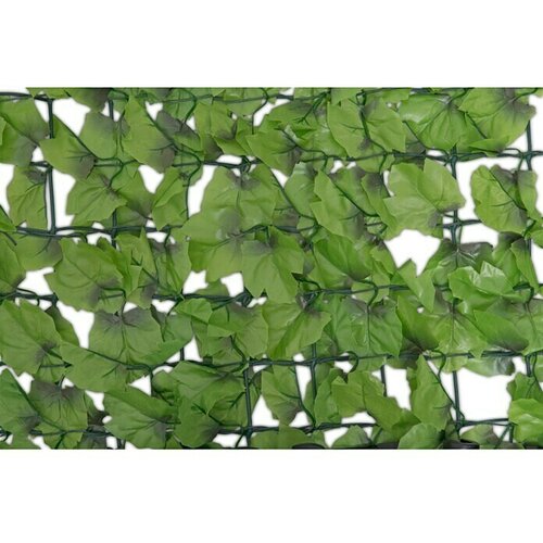 Windhager Za&amp;scaron;tita od pogleda od trske (D x V: 3 x 1 m, Zelene boje, Plastika) Slike