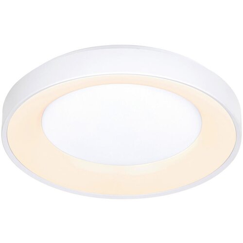 Novel stropna led-svetilka 50/8,5 cm Cene