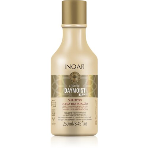 INOAR Absolut Daymoist CLR&amp;trade; intenzivno vlažilni &amp;scaron;ampon za suhe in barvane lase 250 ml Slike