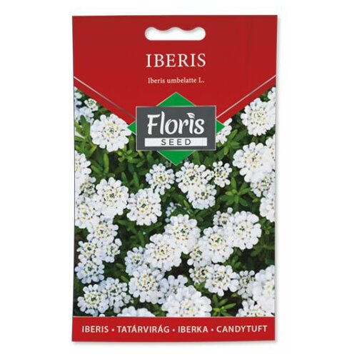 Floris seme cveće-iberis 05g FL Slike