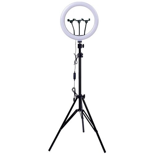  Selfie LED Ring light BD-360 sa stalkom Cene