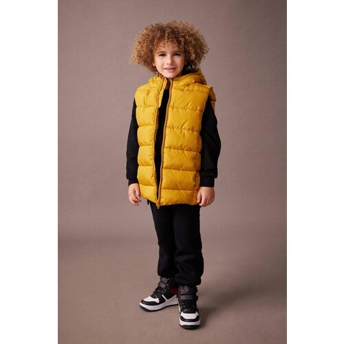 Defacto boy's Water Repellent Hooded Puffer Vest A1765a823au Slike