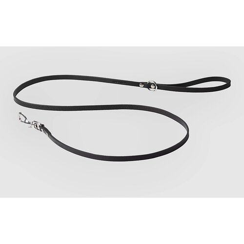 Carhartt WIP Script Studs Dog Leash black Cijene