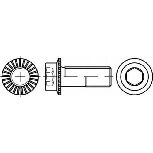 Toolcraft TO-5444448 vijak s &scaron;esterokutnom glavom M12 45 mm unutarnji &scaron;esterostrani 88912 100 St. Cijene