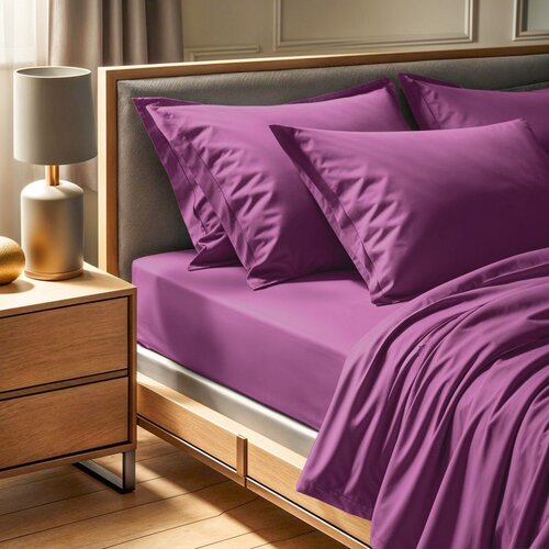  tonne viole - 40 purple ranforce double flat sheet Cene