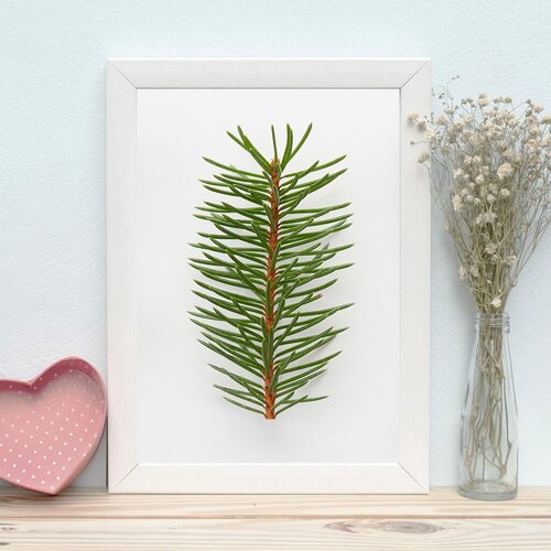 Wallity Zidna dekoracija BC7406288862, 24 x 29 cm, Šarena Cene
