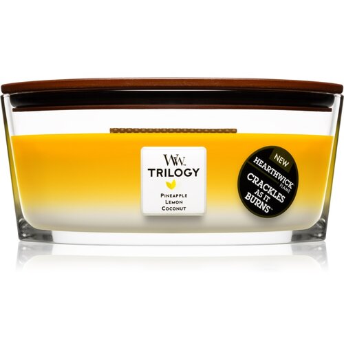 WoodWick Trilogy Fruits of Summer mirisna svijeća s drvenim fitiljem (hearthwick) 453 g Cijene
