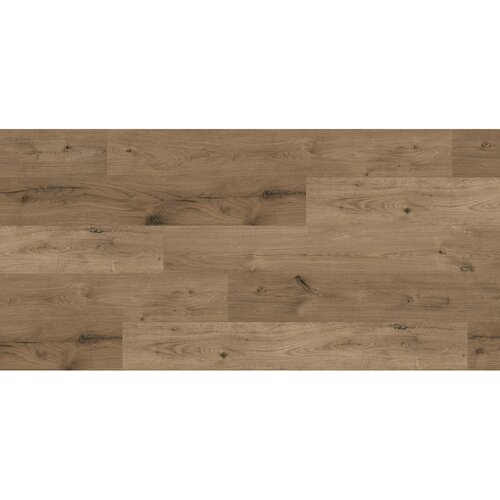Kaindl laminat masterfloor standard oak wildlife 8 mm K2142 av V4 32 Cene
