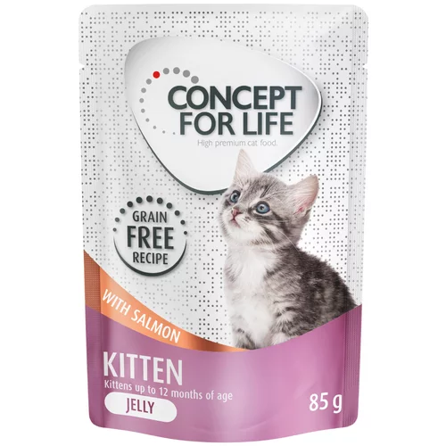 Concept for Life Kitten losos v želeju brez žitaric - 24 x 85 g