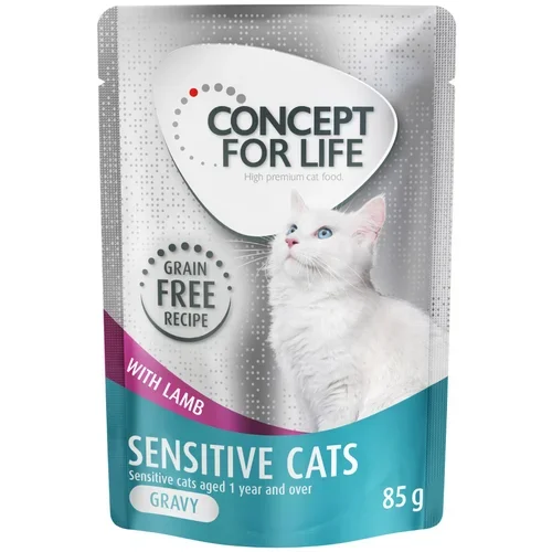 Concept for Life Sensitive Cats jagnjetina v omaki brez žitaric - 24 x 85 g