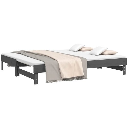  Dnevni ležaj na izvlačenje sivi 2x(80x200) cm masivna borovina Slike