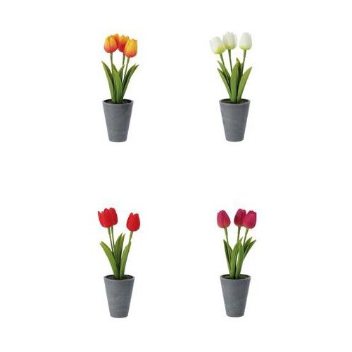  TULIPANI 8*26,5CM PVC 77159 Cene