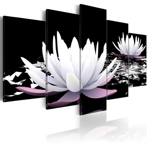  Slika - Passing beauty 100x50 Slike