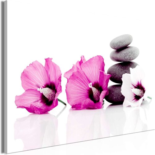  Slika - Calm Mallow (1 Part) Wide Pink 90x60 Slike