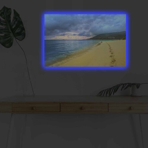 Wallity Zidna slika sa LED osvetljenjem 4570DHDACT-059, 45x70 cm Cijene