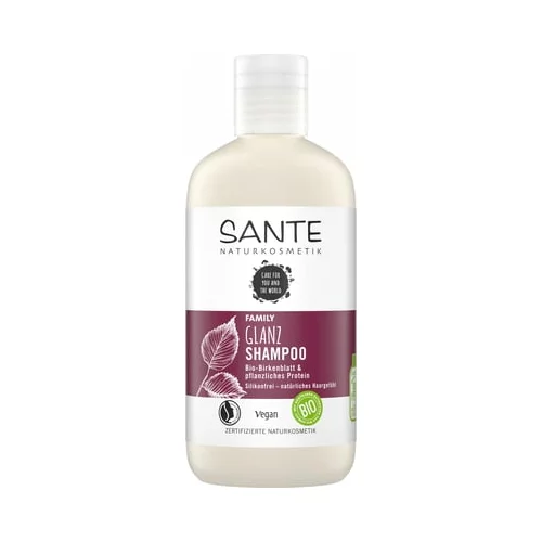 Sante Družinski šampon za sijaj z bio brezovi listi in rastlinski proteini - 250 ml