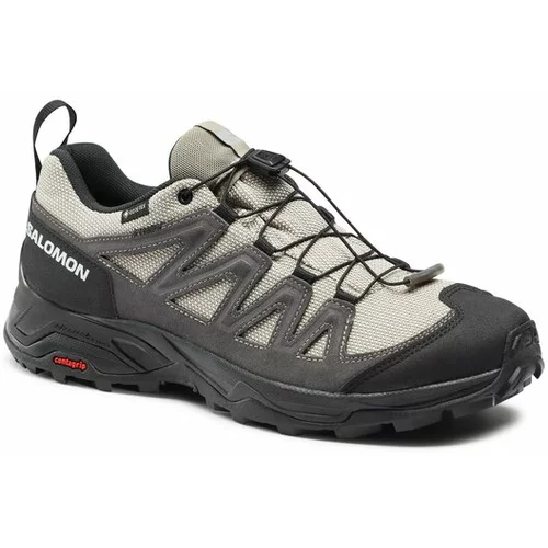 Salomon Trekking čevlji X Ward Leather GORE-TEX L47182100 Rjava