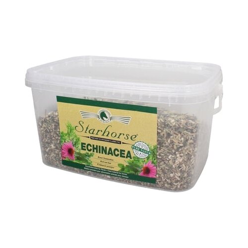 Starhorse Ehinaceja Slike