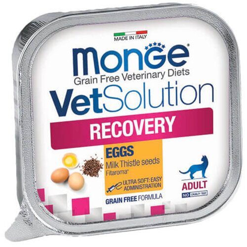 Monge vetsolution recovery feline - dijetetska vlažna hrana za mačke za nutritivnu obnovu i oporavak (100g) Cene
