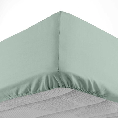 Douceur d int&amp;eacute;rieur Svijetlo zelena pamučna plahta s gumom 180x200 cm Lina &amp;ndash; Slike