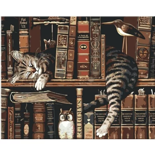 Zuty Slikanje po brojevima Mačka u knjižnici