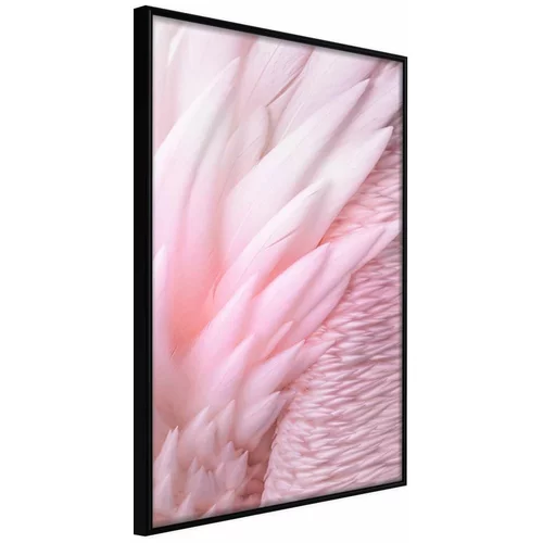  Poster - Pink Feathers 30x45