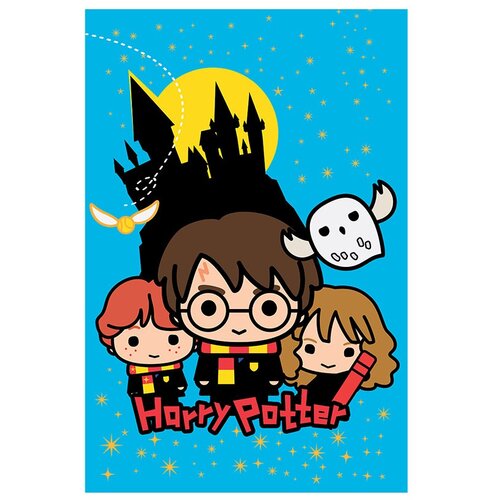 HARRY POTTER odeja Cene