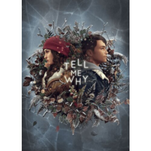 Windows Store Tell Me Why - Windows 10 Store Key EUROPE Cene