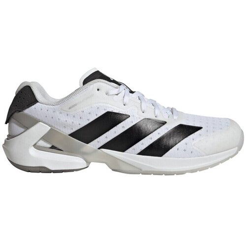Adidas Nizke superge Adizero Counterblast pisana Cene