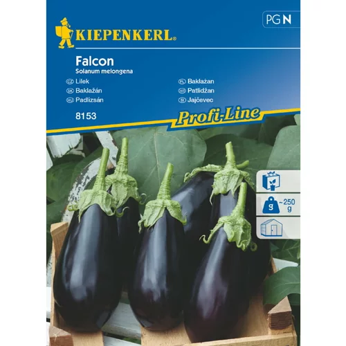 KIEPENKERL Sjeme povrća patlidžan Falcon (Solanum melongena, Berba: Srpanj - Listopad)