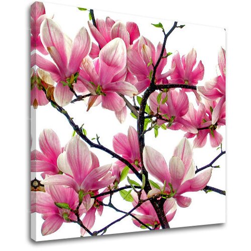  Slike na platnu cveće  (moderne slike na platnu) Cene