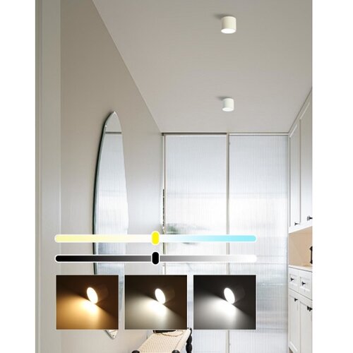  Immax NEO 07241L - LED prigu&amp;scaron;iva svetiljka RONDATE 18W/230V 11,5cm Wi-Fi Tuya Slike