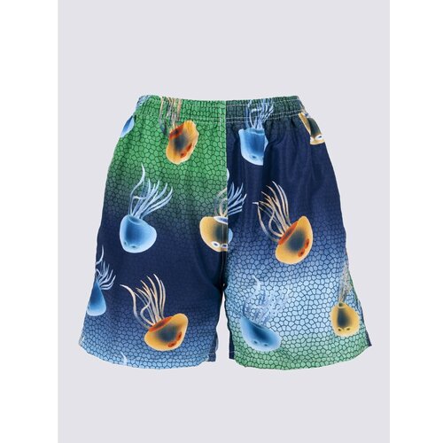 Yoclub Man's Men's Beach Shorts LKS-0045F-A100 Slike