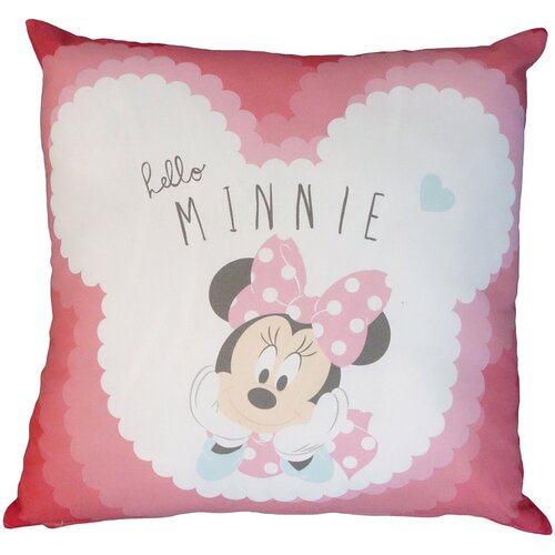 Disney deco Blazine MINNIE Večbarvna Slike