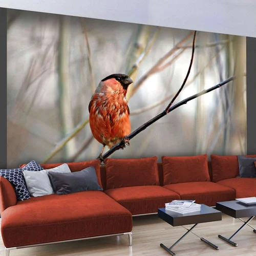  tapeta - Bullfinch in the forest 350x270