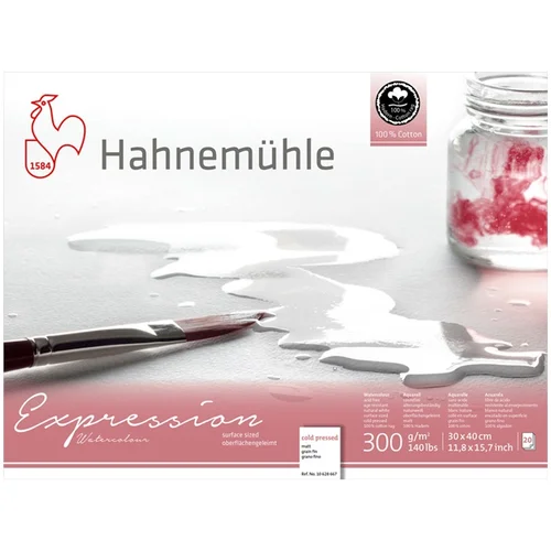  Hahnemühle Expression akvarel papir | Različite veličine | Različite veličine