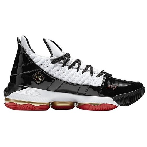 Nike Ko&amp;scaron;arka Lebron Xvi SB pisana Slike