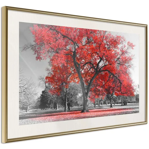  Poster - Red Tree 45x30