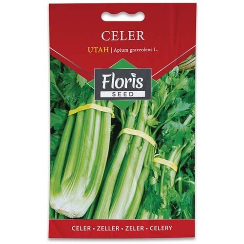 Floris seme povrće-celer lišćar utah 05 FL Slike